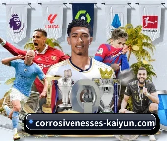 开·云体育 APP - KY sports app